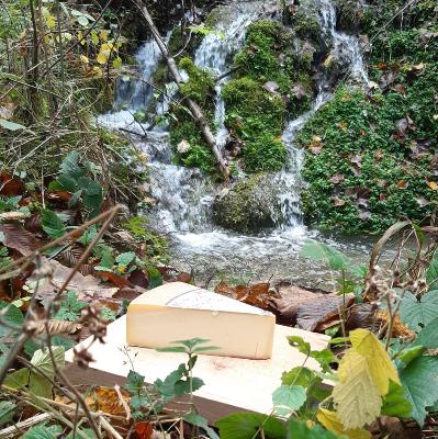 RACLETTE NATURE